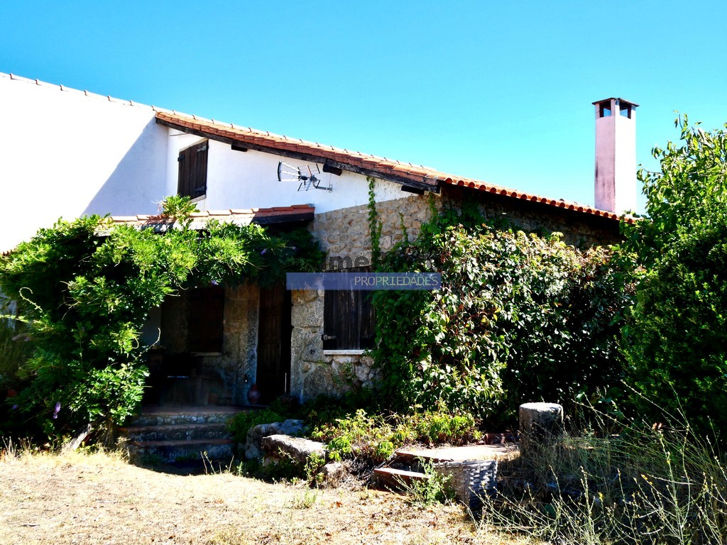 Quinta