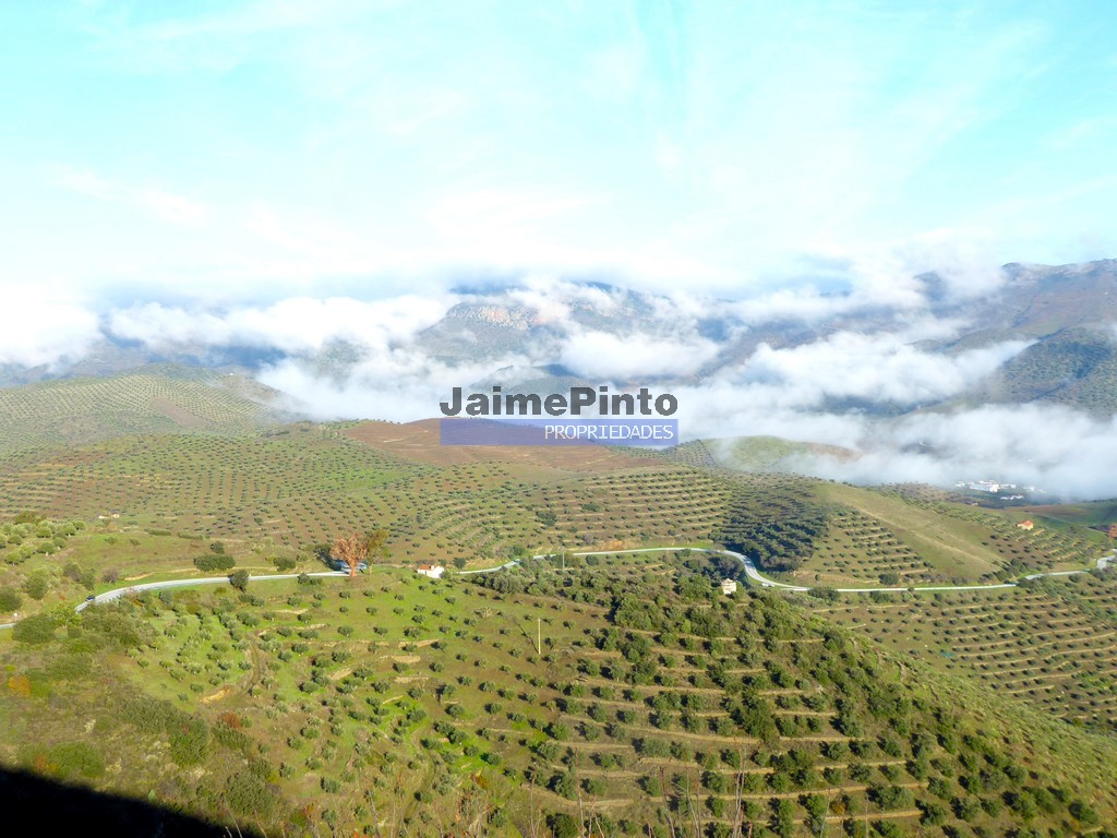 Terreno agricola