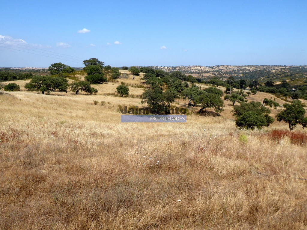 Terreno agricola