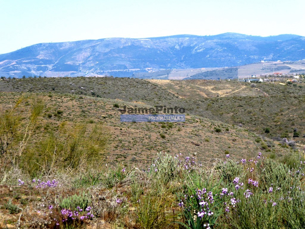 Terreno agricola