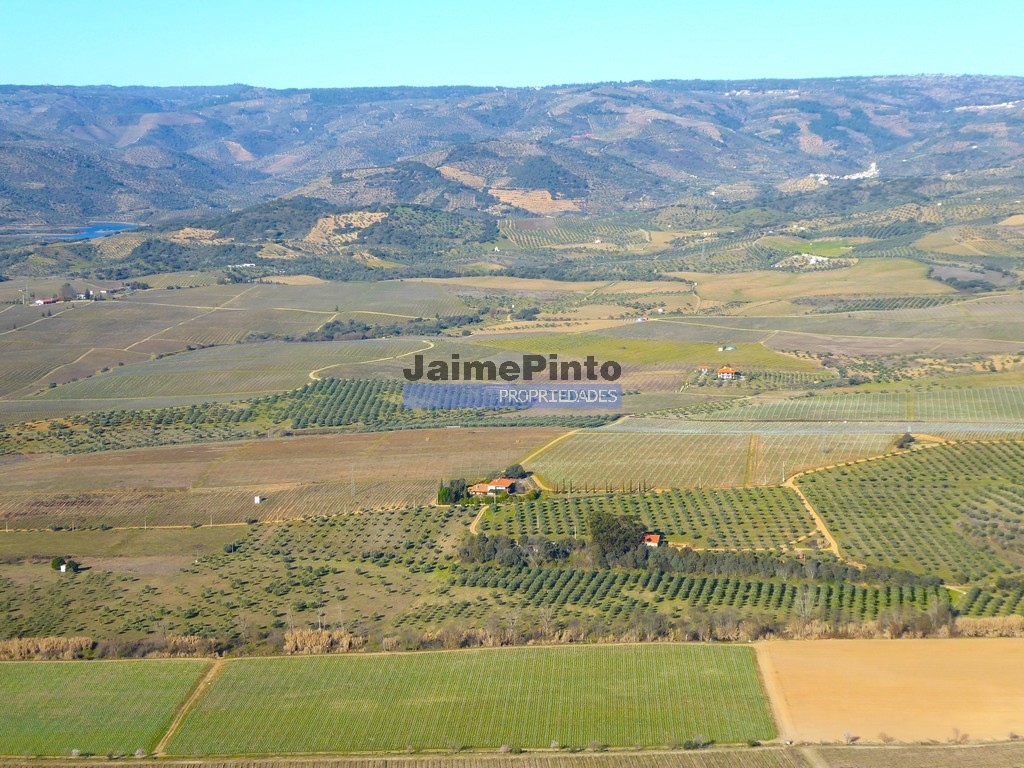 Terreno agricola