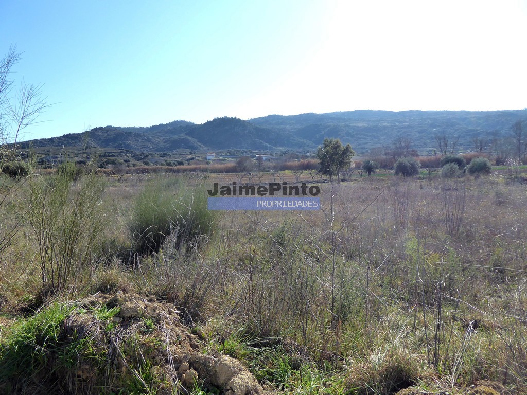 Terreno agricola