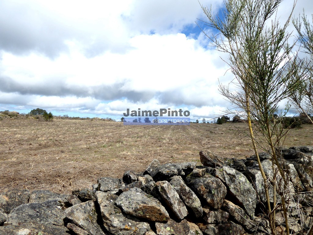 Terreno agricola