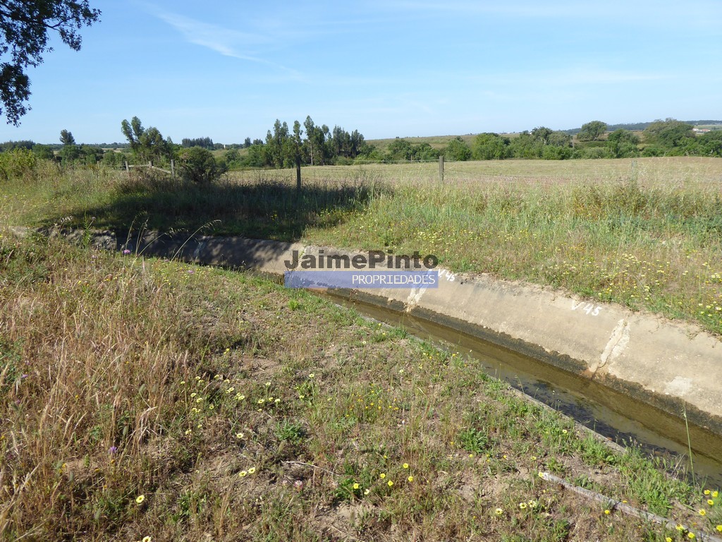 Terreno agricola