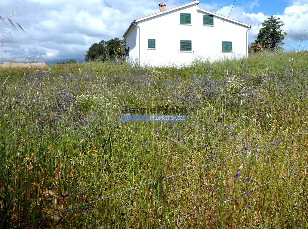 Terreno agricola