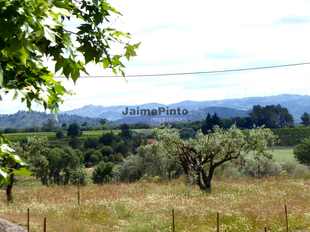 Terreno agricola