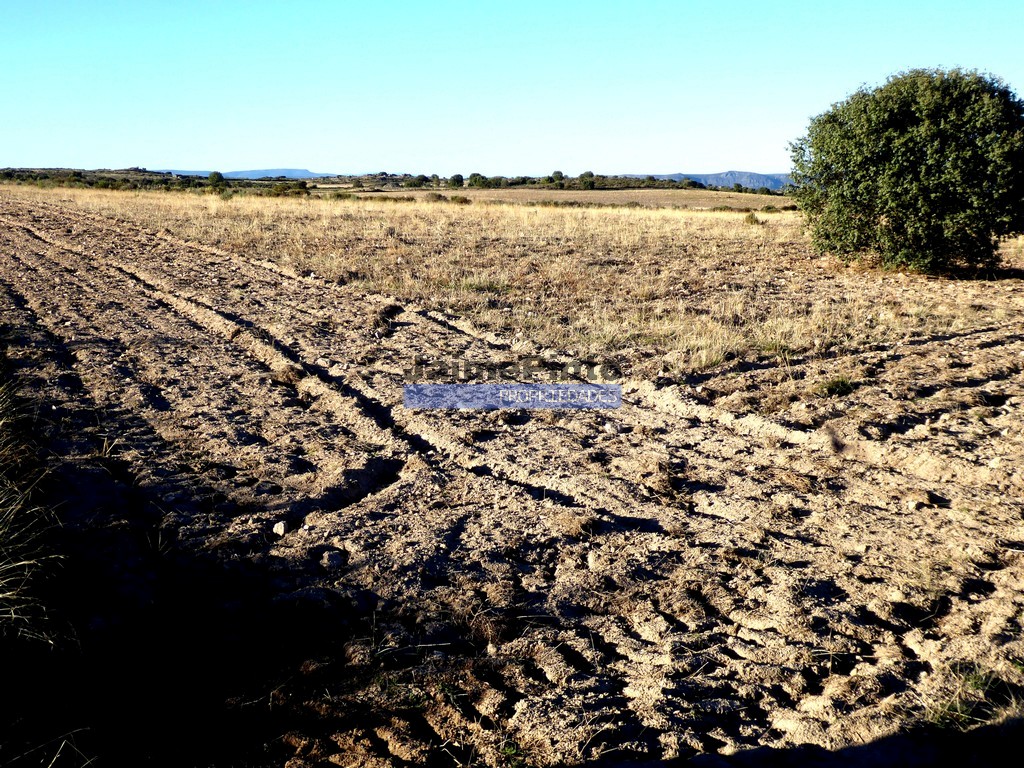 Terreno agricola