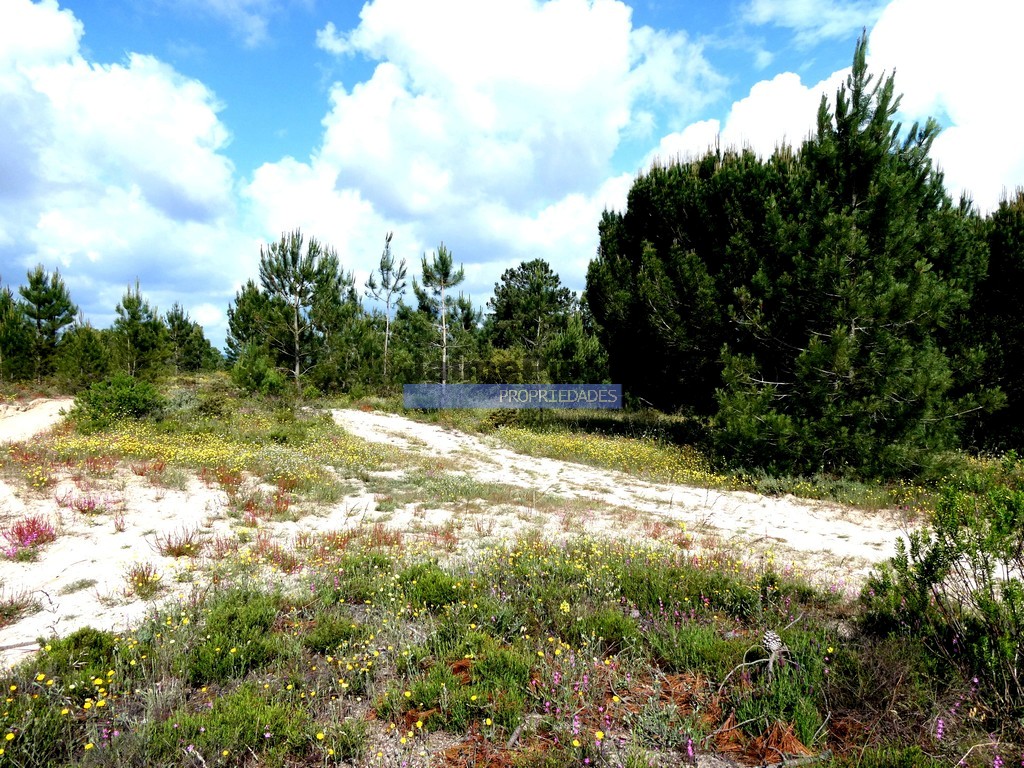 Terreno industrial