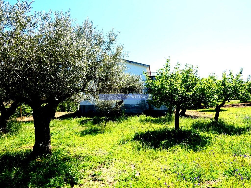 Quinta