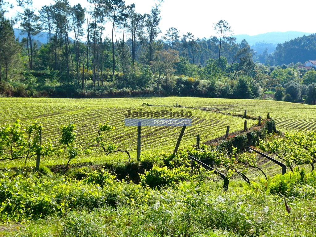 Terreno p/ moradia